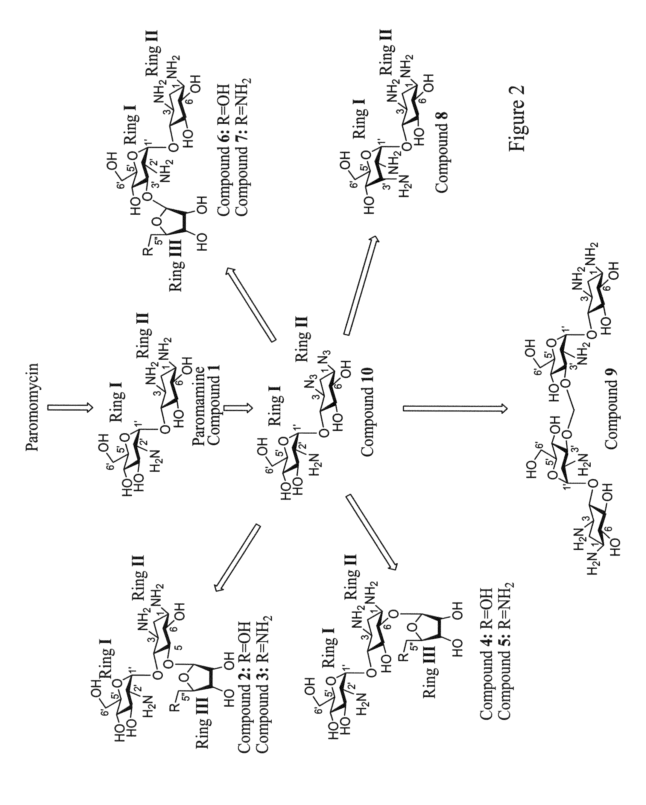 Novel aminoglycosides and uses thereof in the treatment of genetic disorders