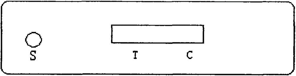 Colloidal gold testing paper card used for detecting rabies virus antibodies of dogs and cats, preparation method and application thereof