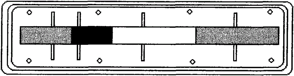 Colloidal gold testing paper card used for detecting rabies virus antibodies of dogs and cats, preparation method and application thereof