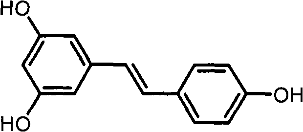 Resveratrol derivative and application thereof to medicament