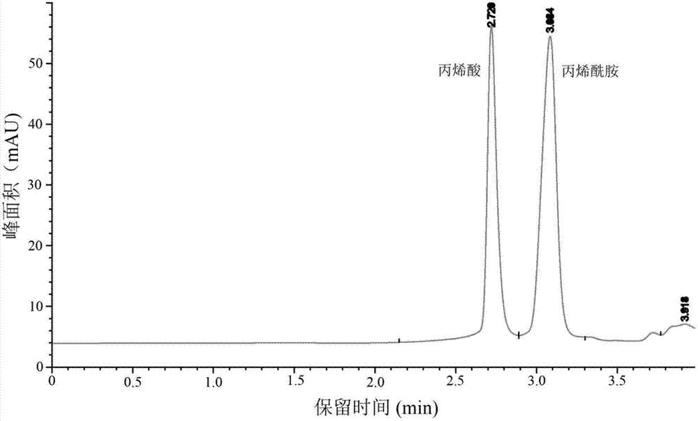 Amidase gene of Variovorax boronicumulans CGMCC 4969, and its application in biological degradation of acrylamide