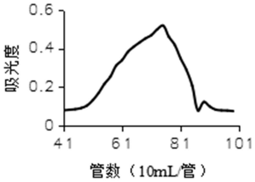 A kind of polysaccharide of Radix Angelica dahurica extracted by enzymatic method, its preparation method and application