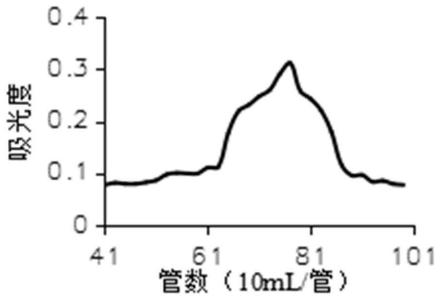 A kind of polysaccharide of Radix Angelica dahurica extracted by enzymatic method, its preparation method and application