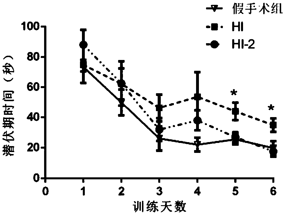 Application of SAG in preparation of drug for treating diseases of hypoxic-ischemic brain damage during development