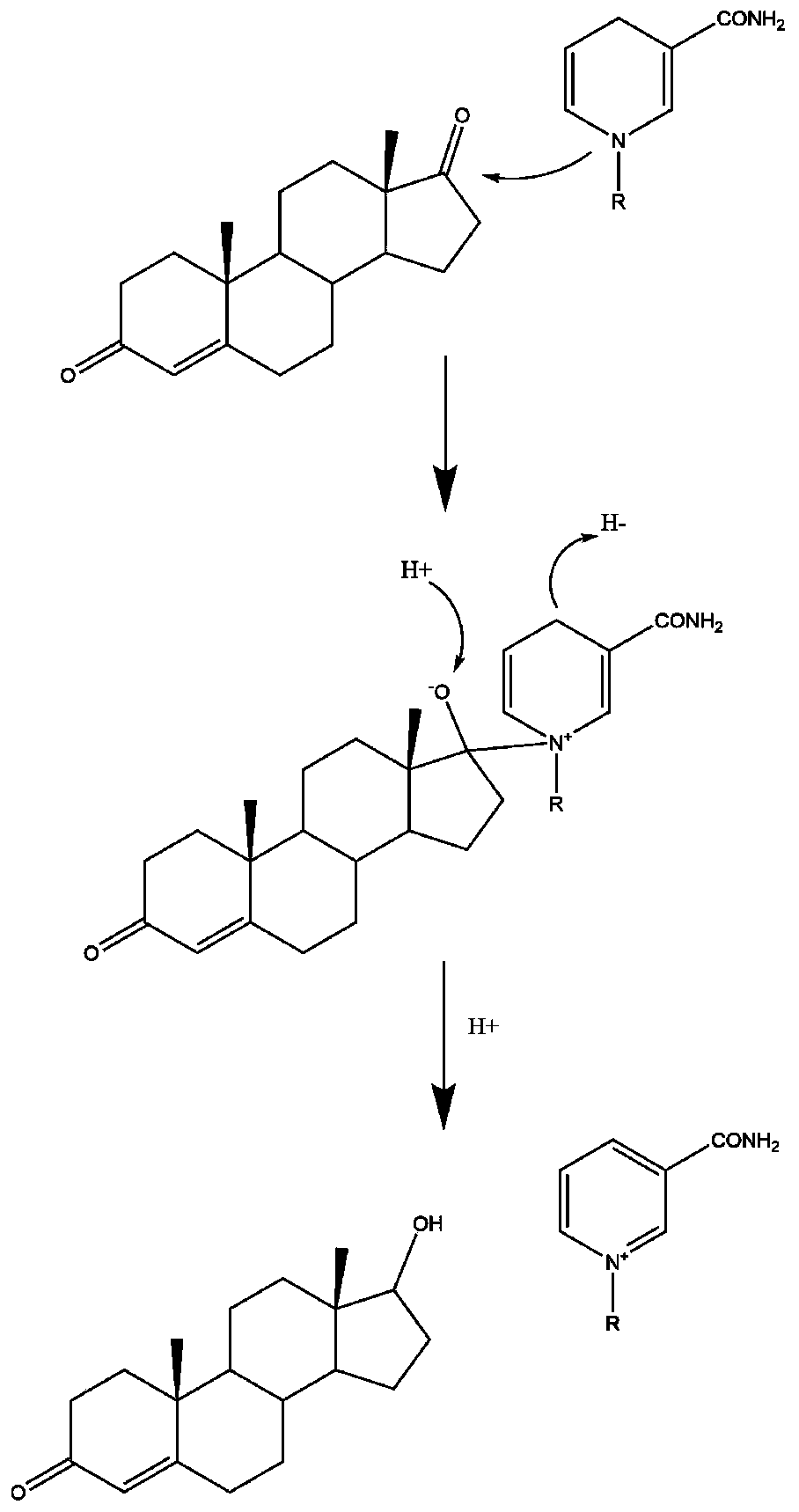 17 beta-hydroxysteroid hydroxylase 3 mutant enzyme, coding gene and engineering bacteria