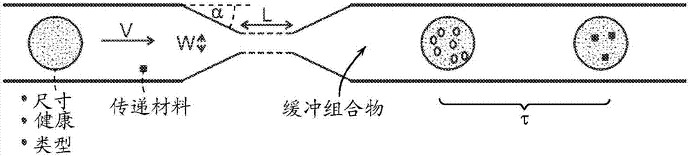 Intracellular delivery