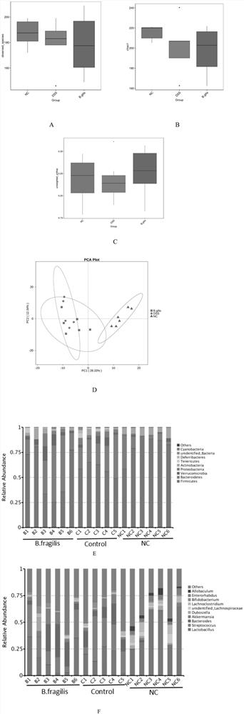 Application of bacteroides fragilis in preparation of medicine for treating inflammatory bowel diseases