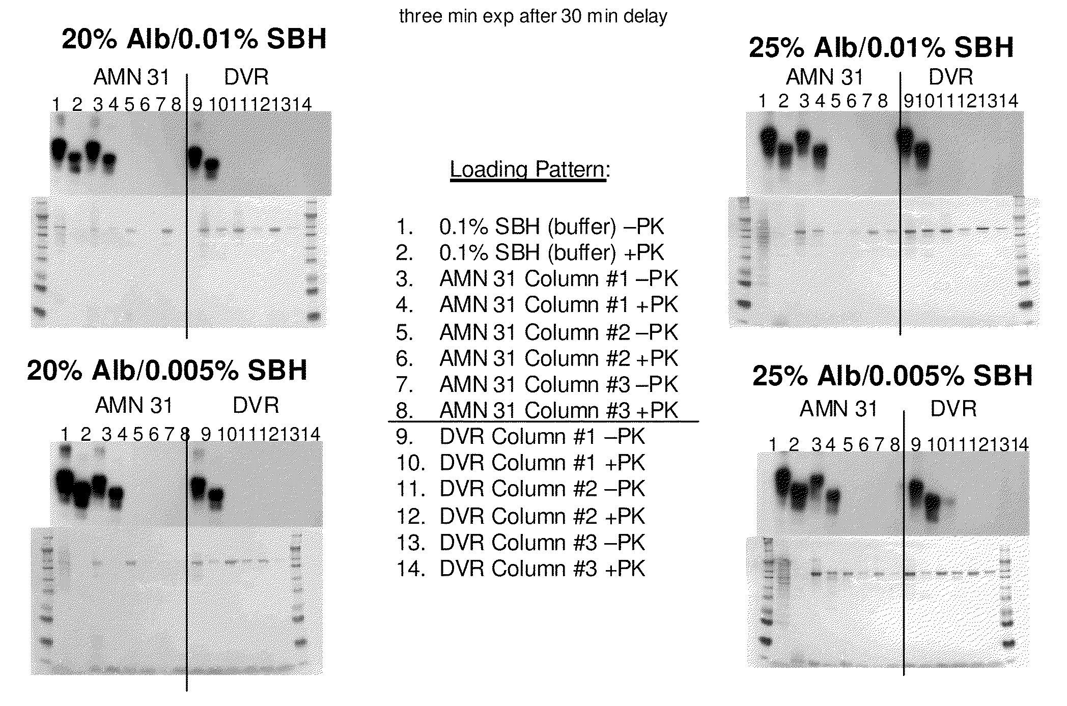 Prion free nanoparticle compositions and methods of making thereof