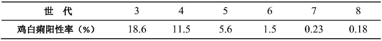 Method for breeding chickens with black feathers