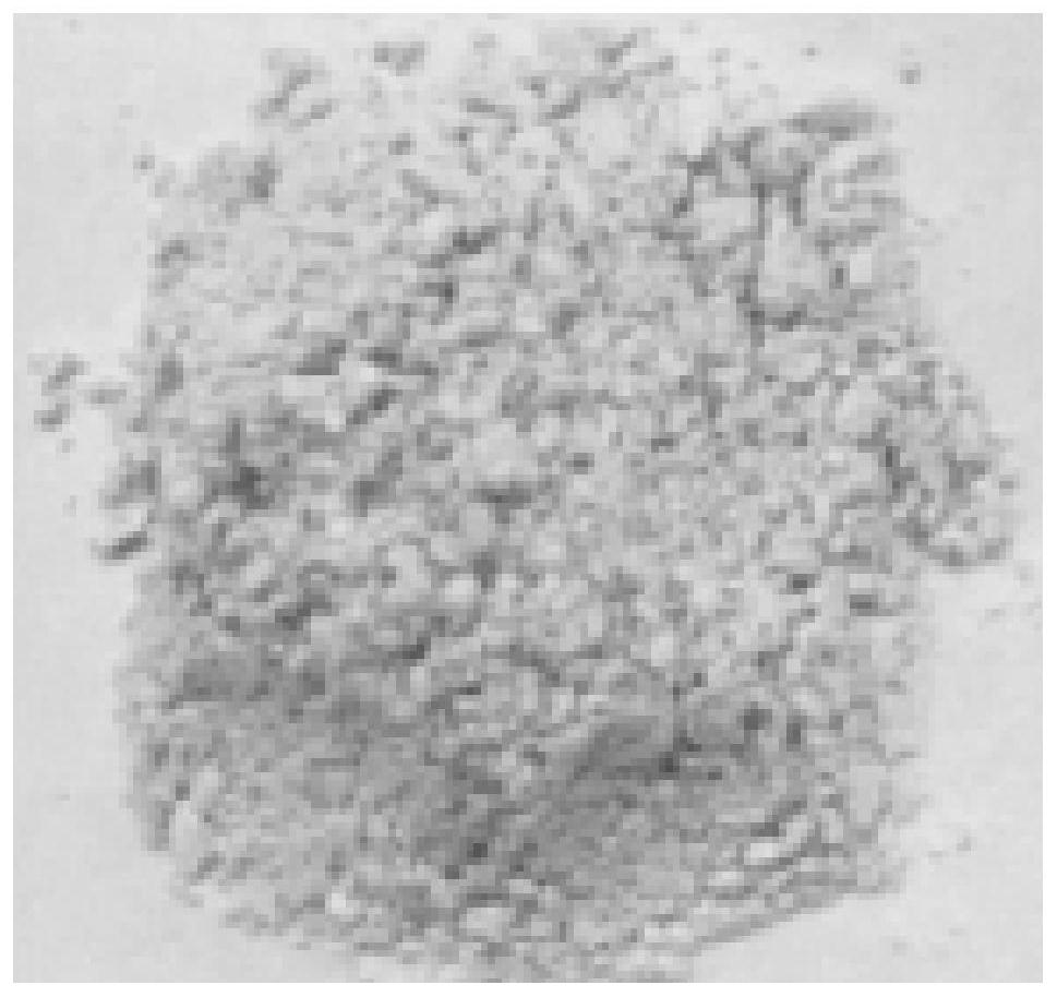 A kind of preparation method of ammonium chromate crystal