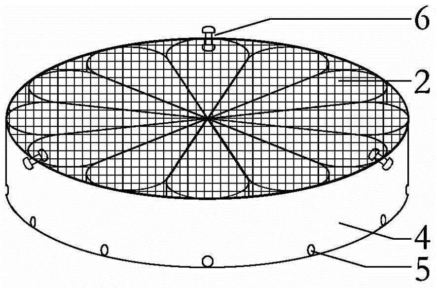 Fixing apparatus for volume uniform radiation test of laboratory mice