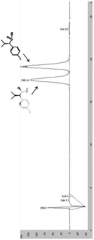 Amidase and its coding gene and application