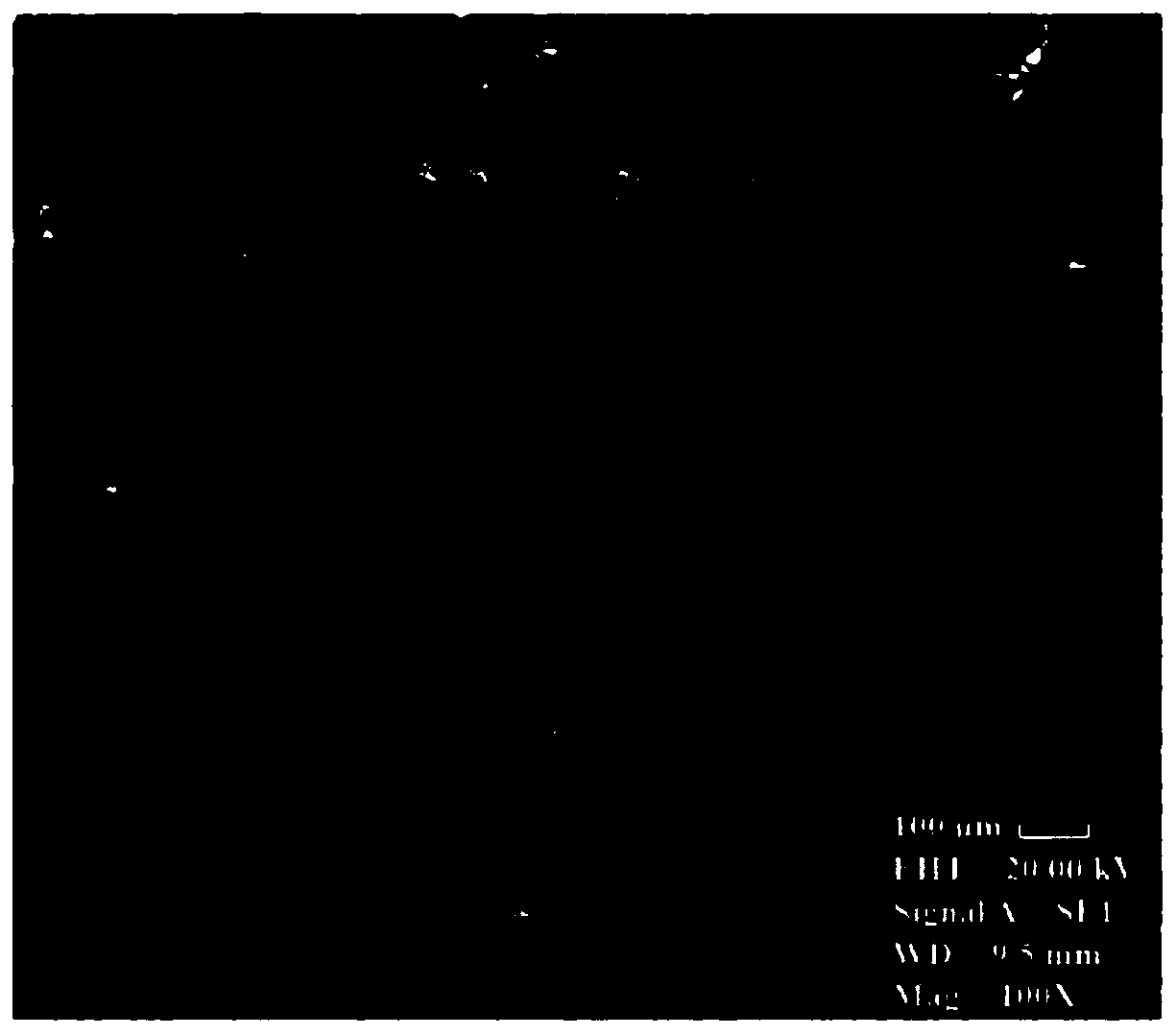 Preparation method of horizontal well plugging agent