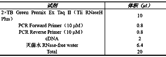 Kit for early warning of colorectal cancer metastasis