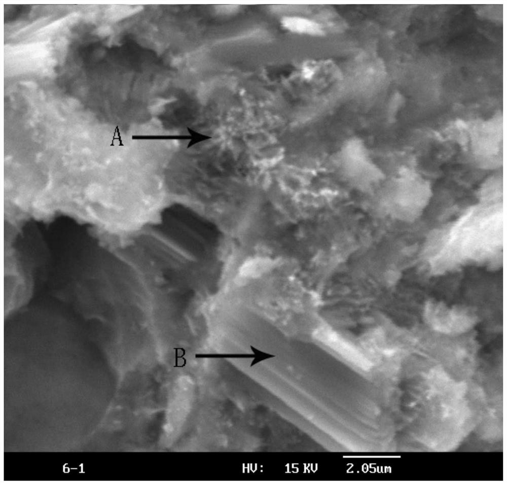 A thermal recovery well sealing agent, sealing slurry and sealing method