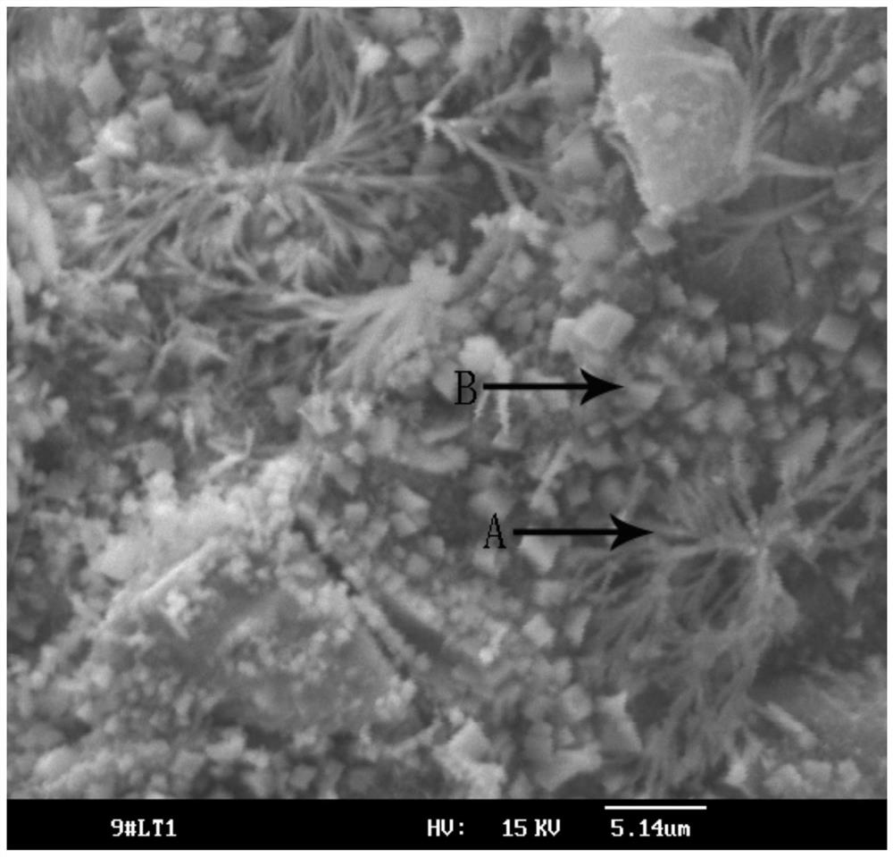 A thermal recovery well sealing agent, sealing slurry and sealing method