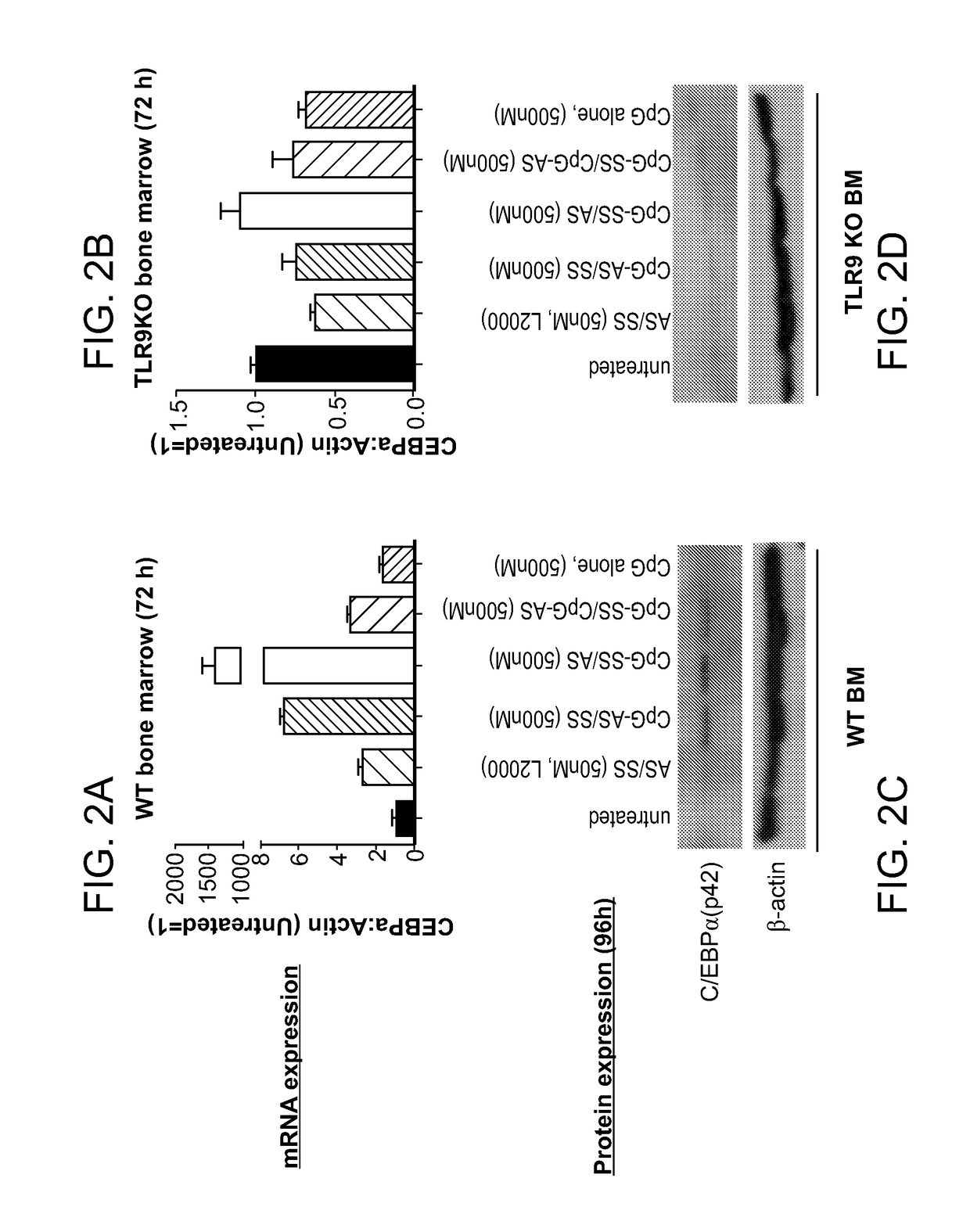 Compounds and compositions including phosphorothioated oligodeoxynucleotide, and methods of use thereof