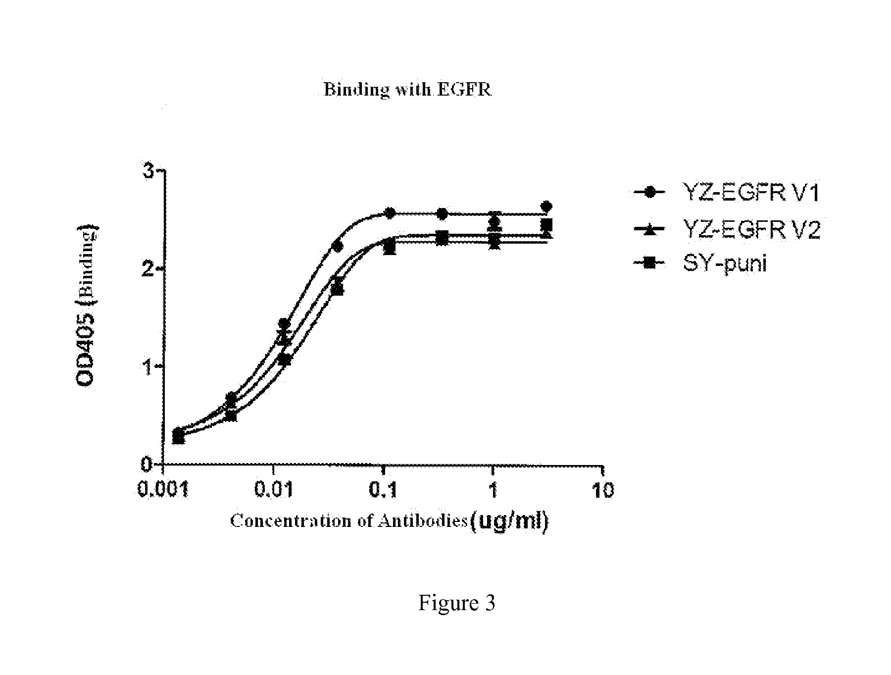 Epidermal growth factor receptor antibody