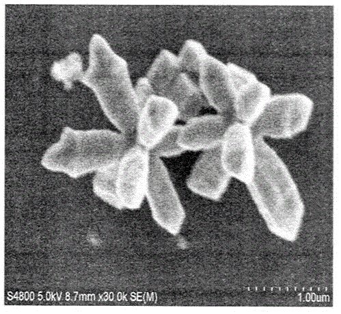 Novel morphology controllable CeO2/Cu2O catalyst for CO preferential oxidation reaction through liquid-phase reduction method