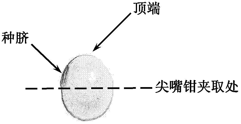 Detection method for soybean water-soluble proteins