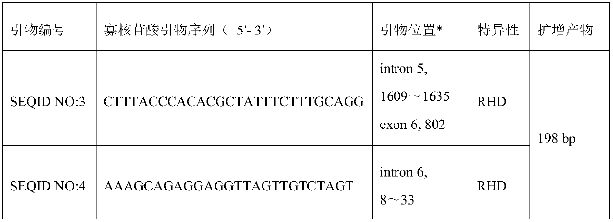 RHD-T268A mutant and detection thereof