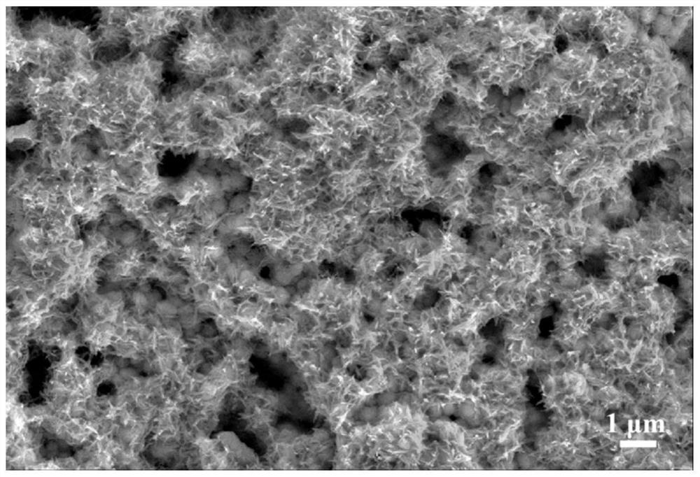 A modified zirconia ceramic with a surface composite bioactive substance and its preparation method