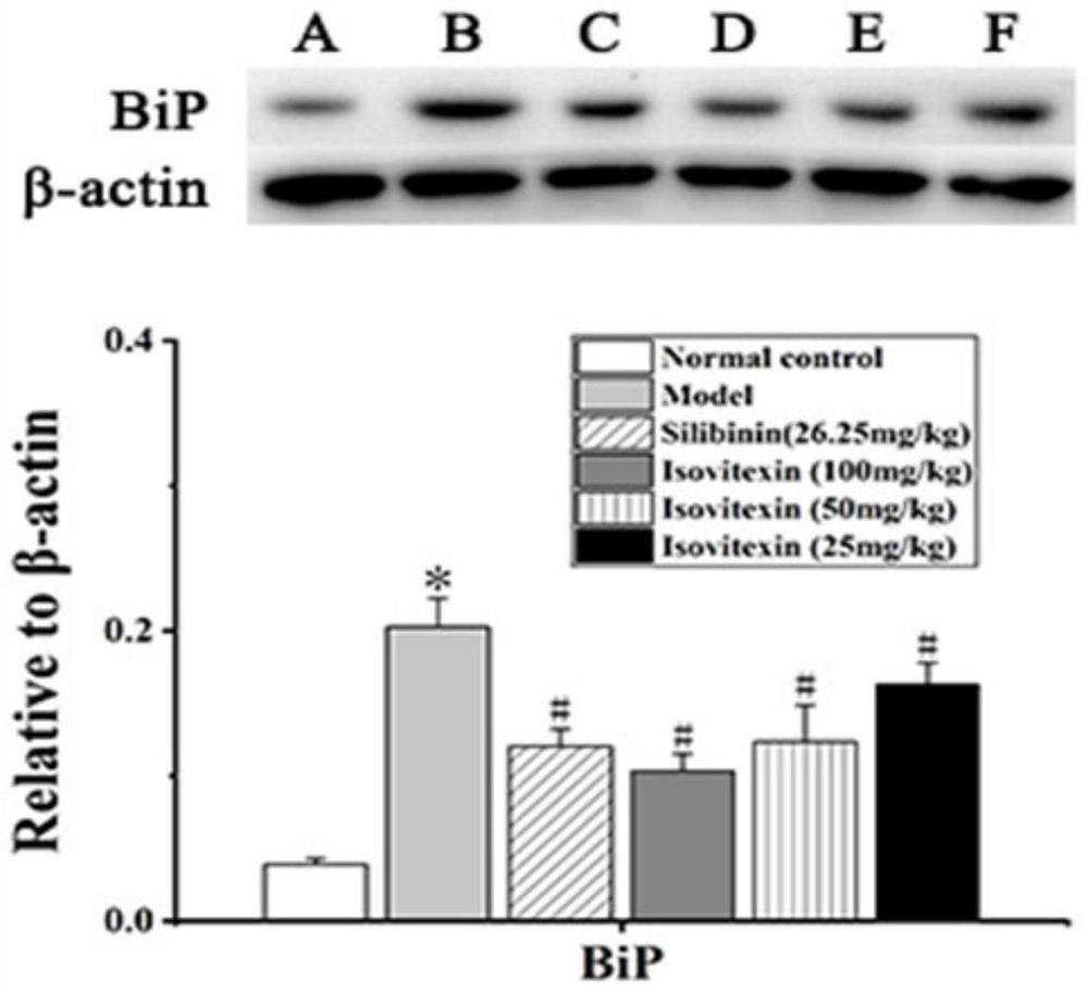 Preparation method and application of flavonoid glycoside monomer isovitexin of Hydrocotyle sibthorpioides