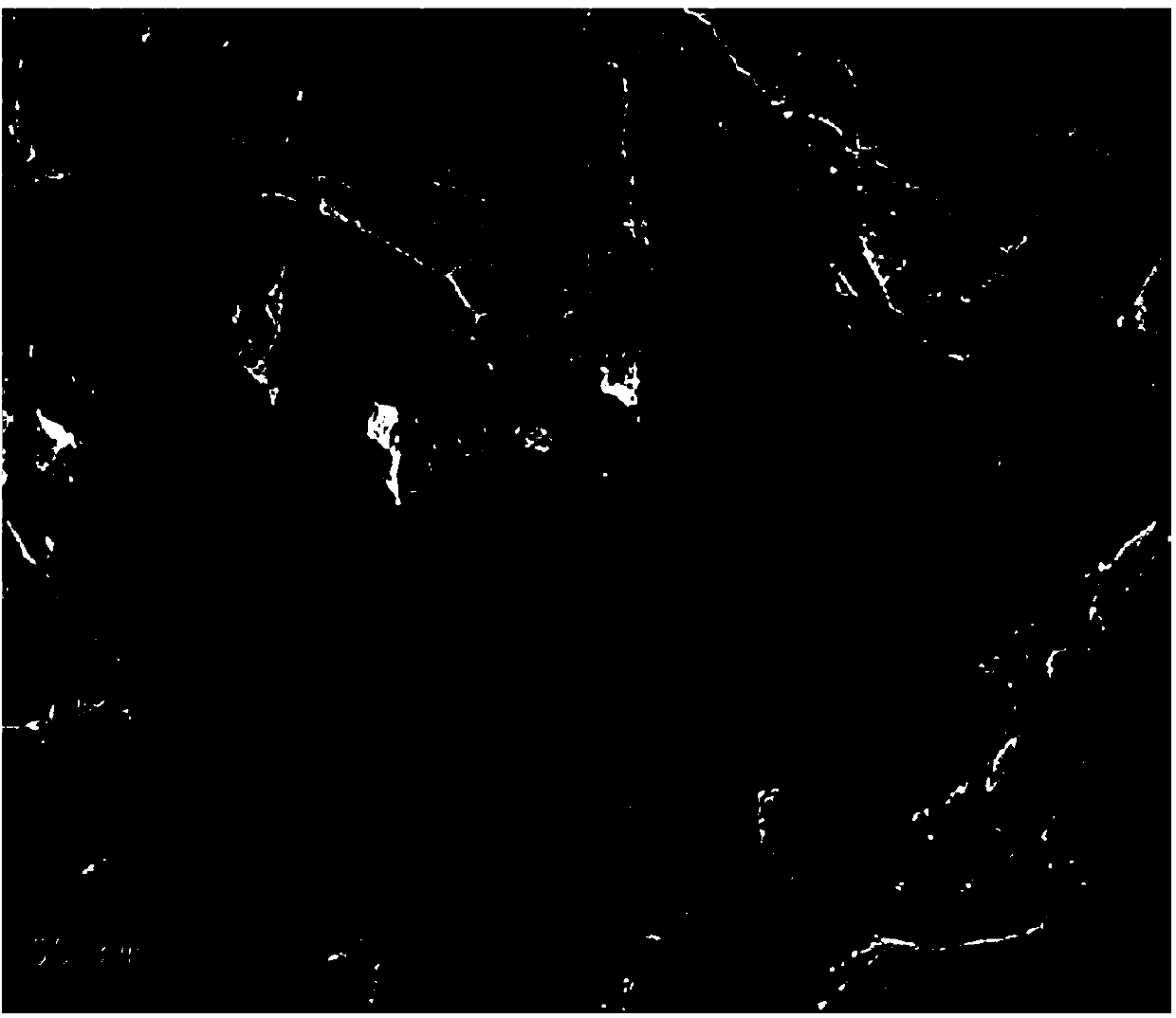 Preparation method of selenium-carbon electrode material with porous structure and application of selenium-carbon electrode material