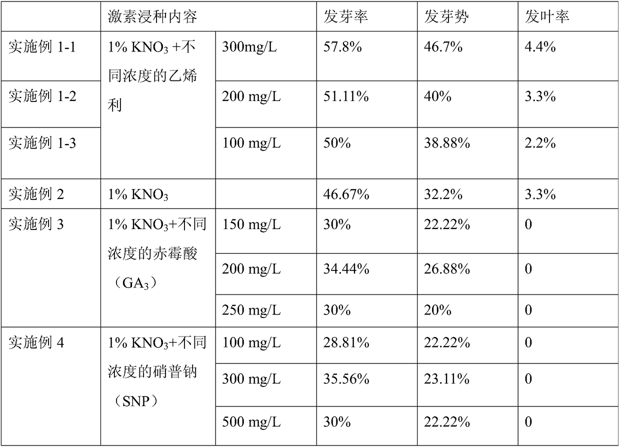 Method to promote germination of Polygonatum cyrtonema seeds