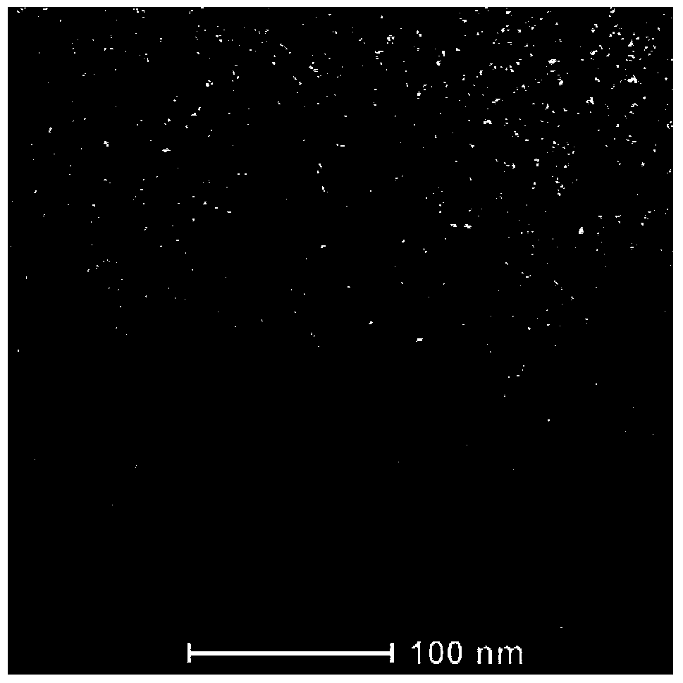 A kind of magnetic nanoparticle coated with water-soluble protein and its preparation method