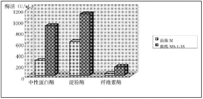 Bacillus subtilis bred by space mutation breeding technology and application of Bacillus subtilis