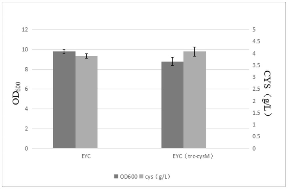 Genetic engineering strain capable of high yielding L-cysteine and construction and application of genetic engineering strain