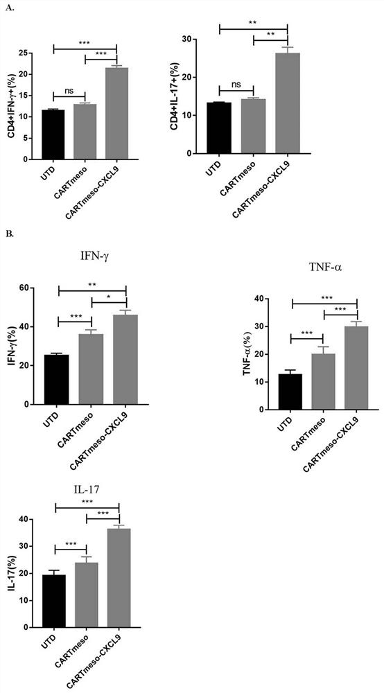 CXCL9 modified chimeric antigen receptor T (CAR-T) structure and application thereof