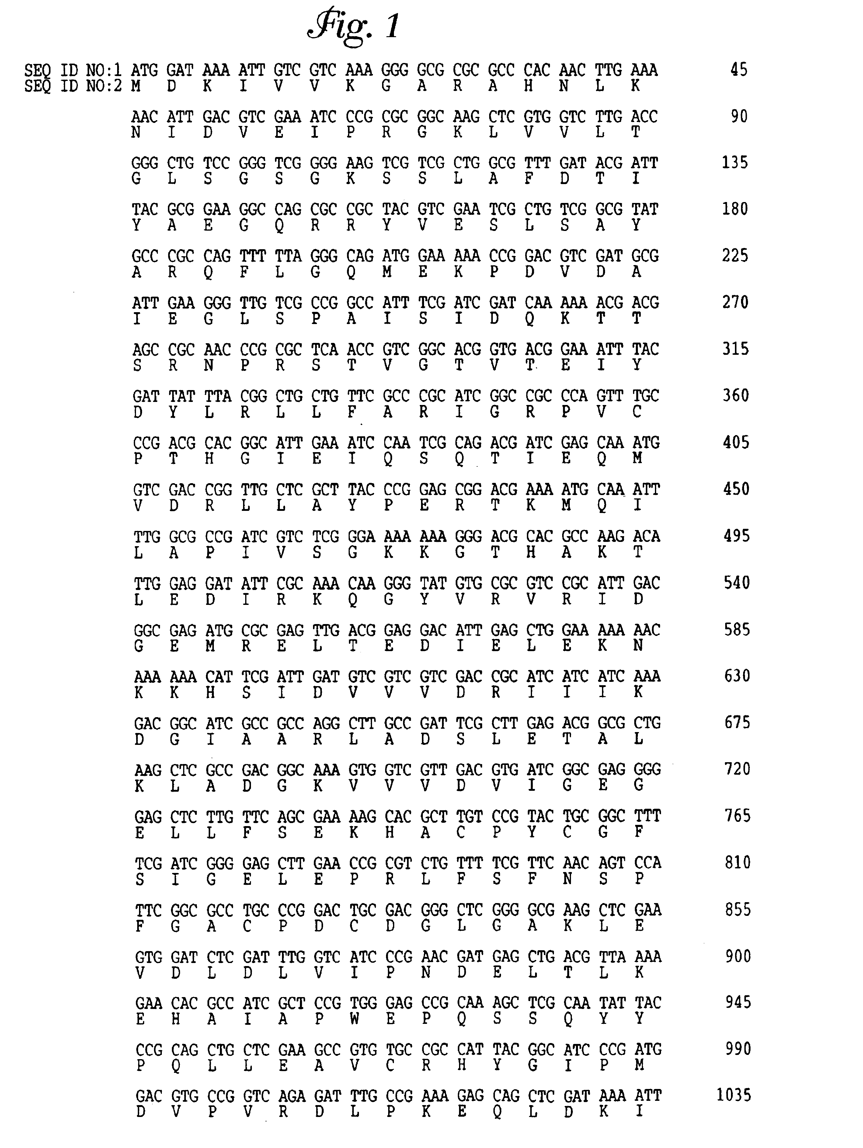 Thermostable UvrA and UvrB polypeptides and methods of use