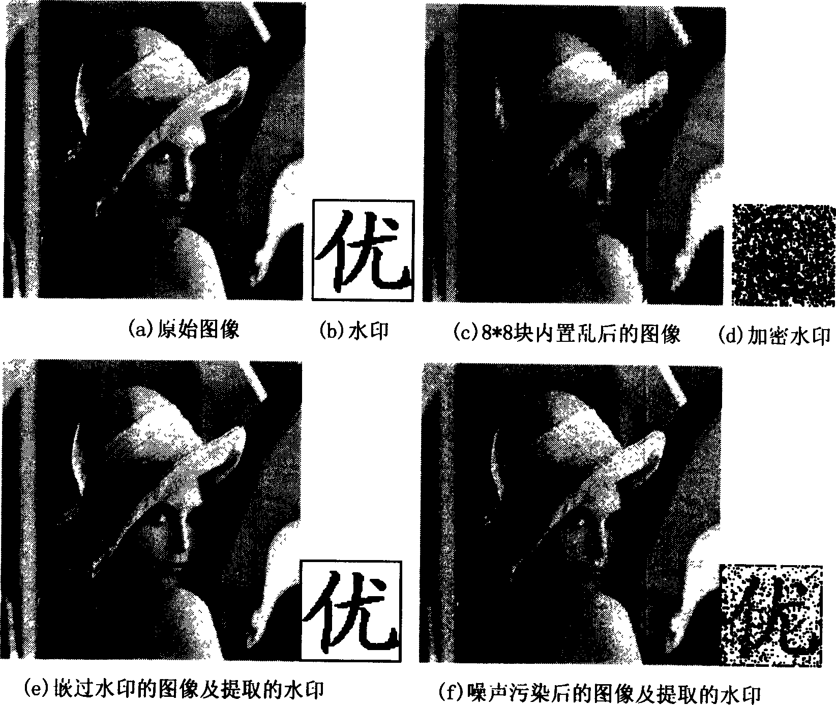 Digital waterprint imbedding and extracting method based on remainder image