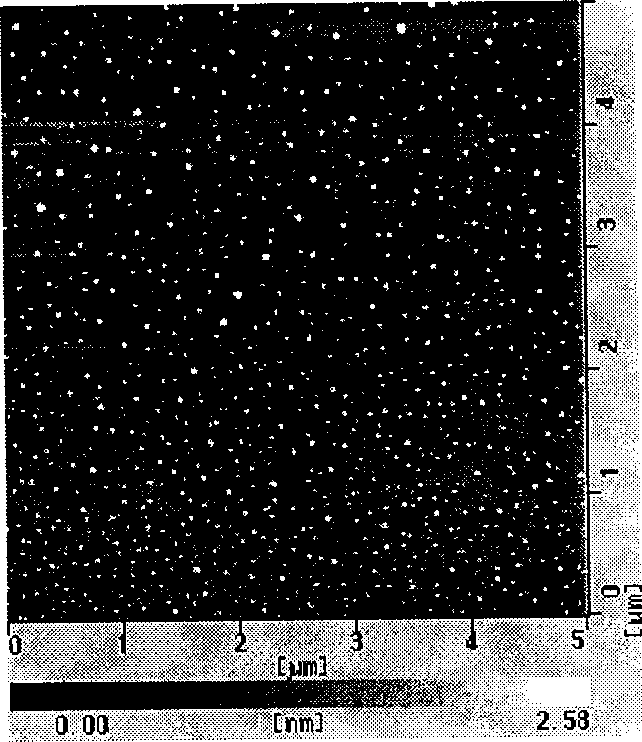 Nano granule of polylysine amylum and its preparation method as well as application gene carrier