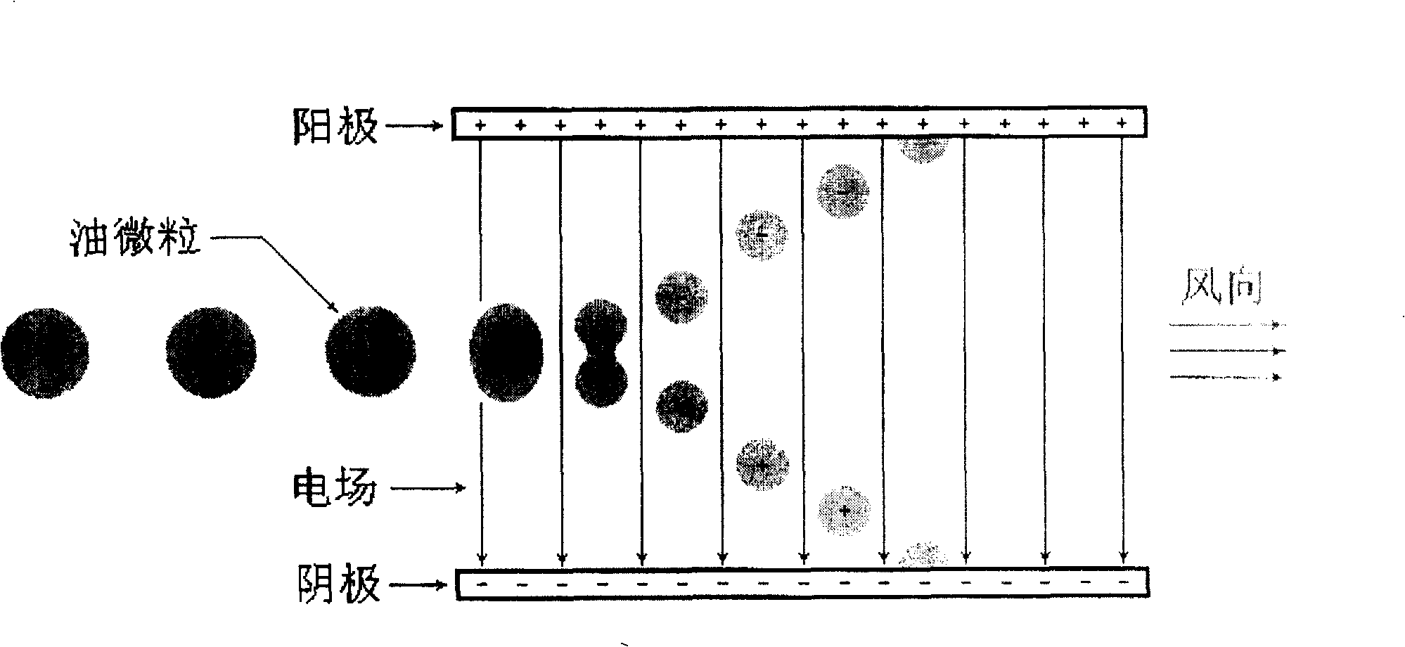 Environmental protection electronic smoke exhaust ventilator and smoke electron absorption apparatus