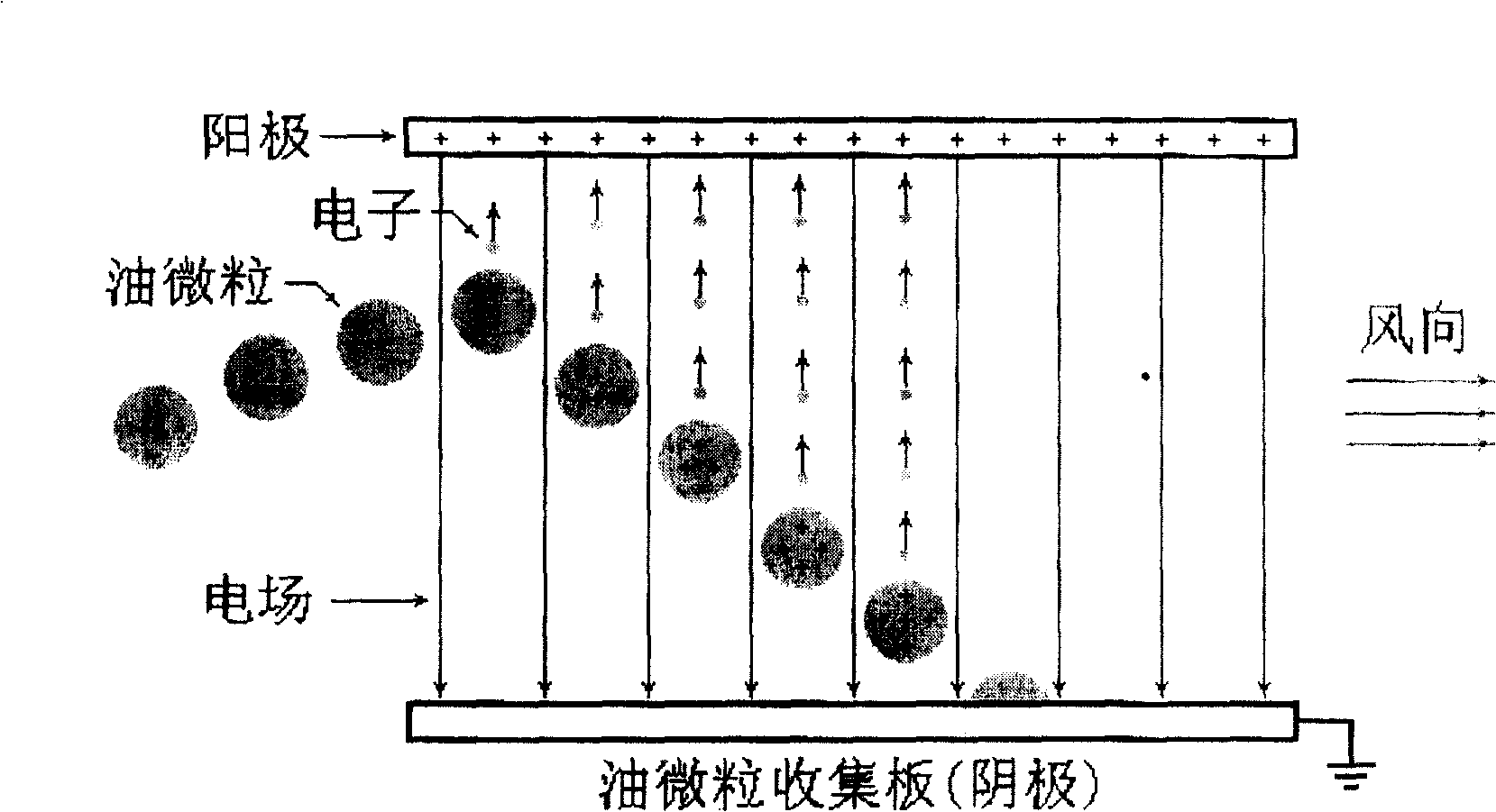 Environmental protection electronic smoke exhaust ventilator and smoke electron absorption apparatus