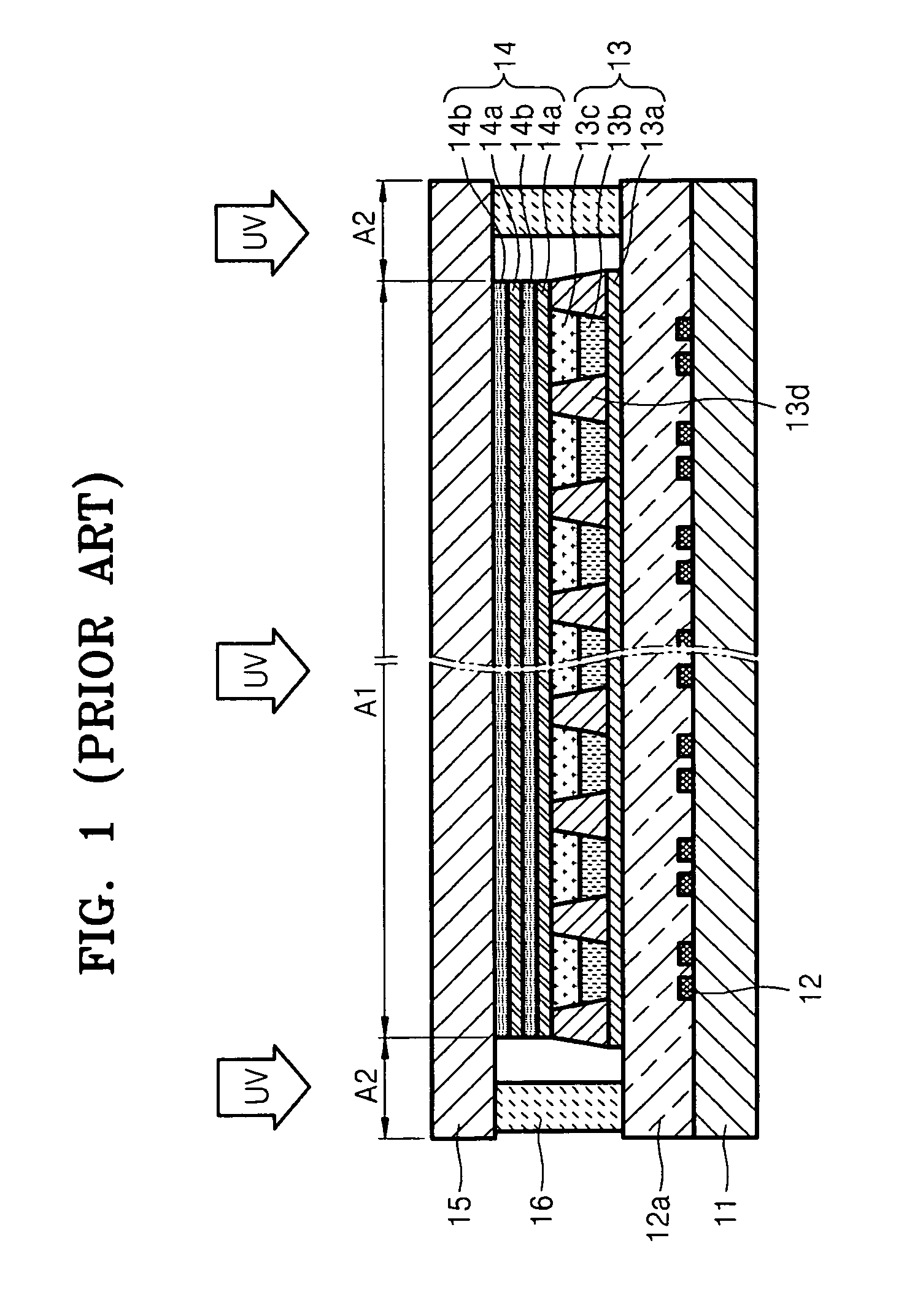 Organic light emitting display providing ultraviolet ray protection and method of manufacturing same