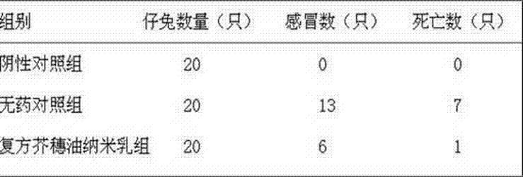 Compound oil-in-water schizonepeta spike oil nanoemulsion composition and preparation method thereof