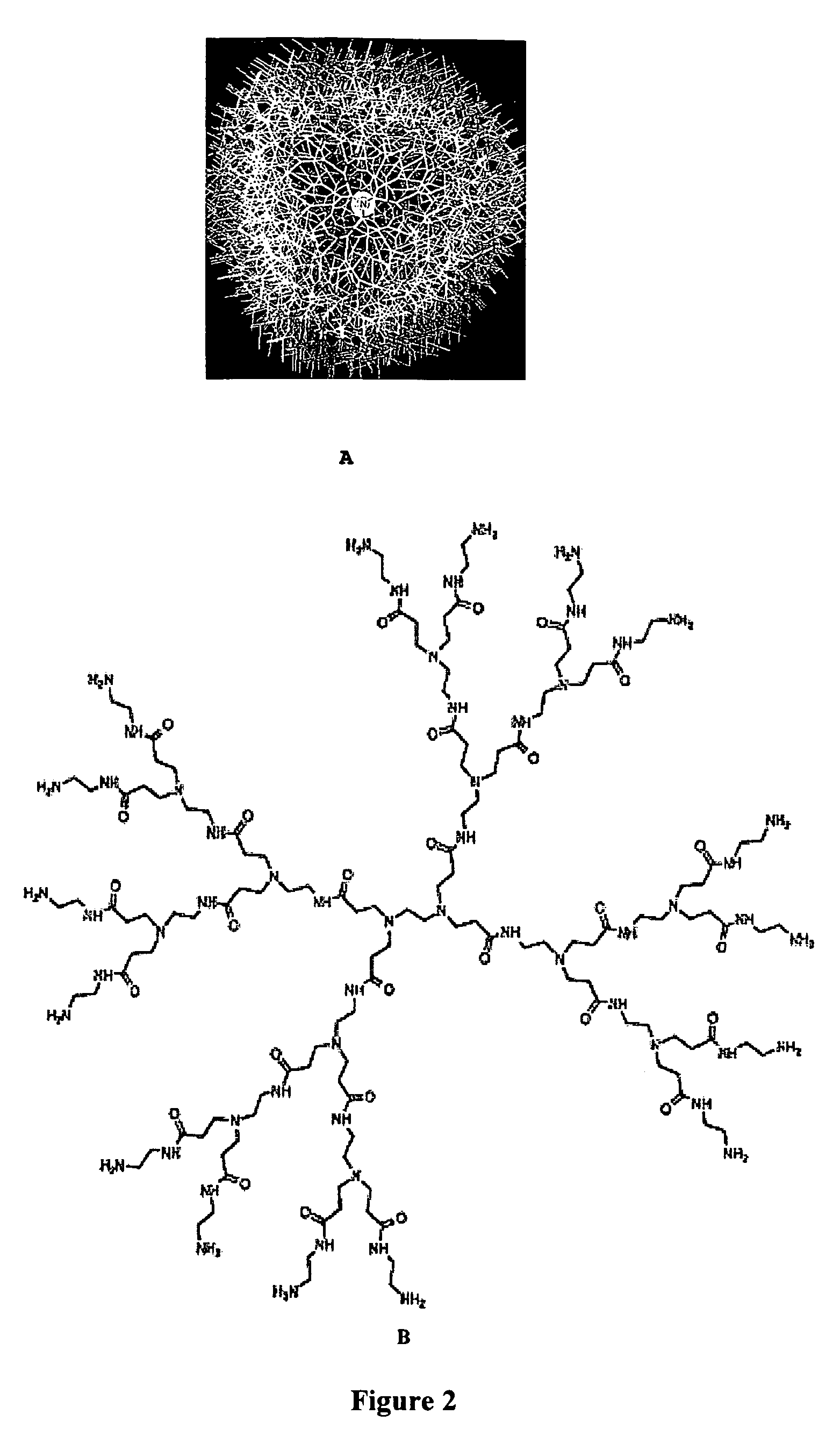 Surface modification of polyamide reverse osmosis membranes