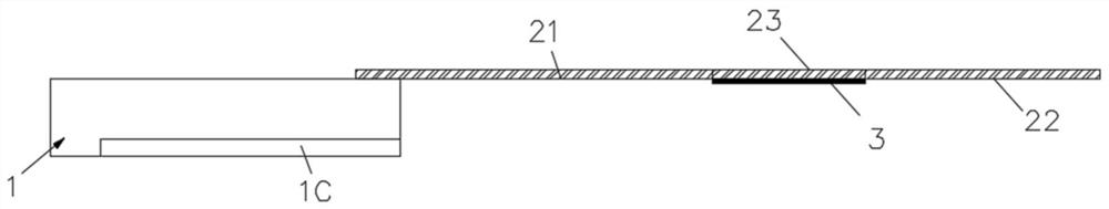 Foldable display device, mobile terminal and display method