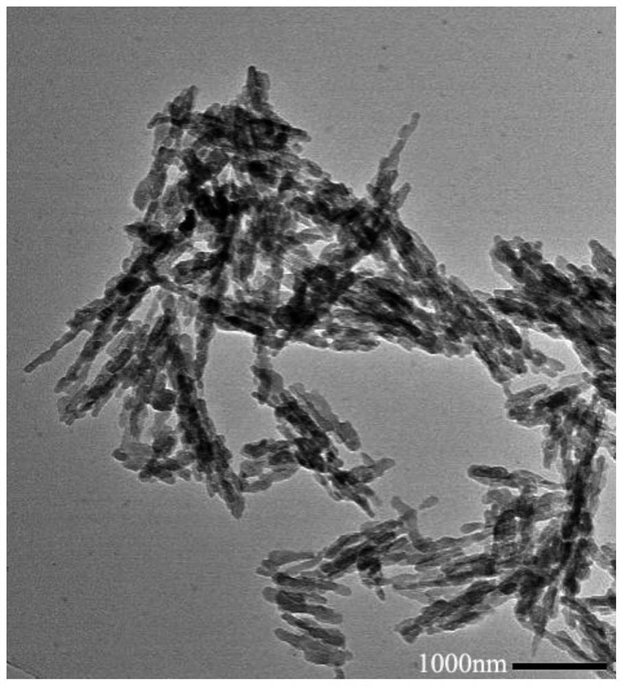 Regulation and control method and application of hydroxyapatite nanoparticle aggregate