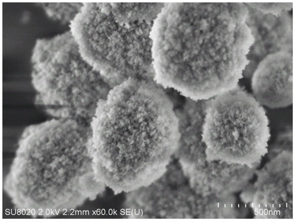 Beta molecular sieve with multistage pore structure and preparation method thereof