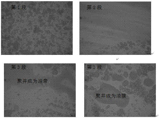 Visualized rheological method for evaluating emulsion stability