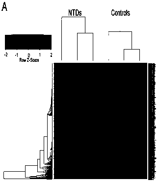 A kind of molecular marker and its application for preparing biomarker reagent