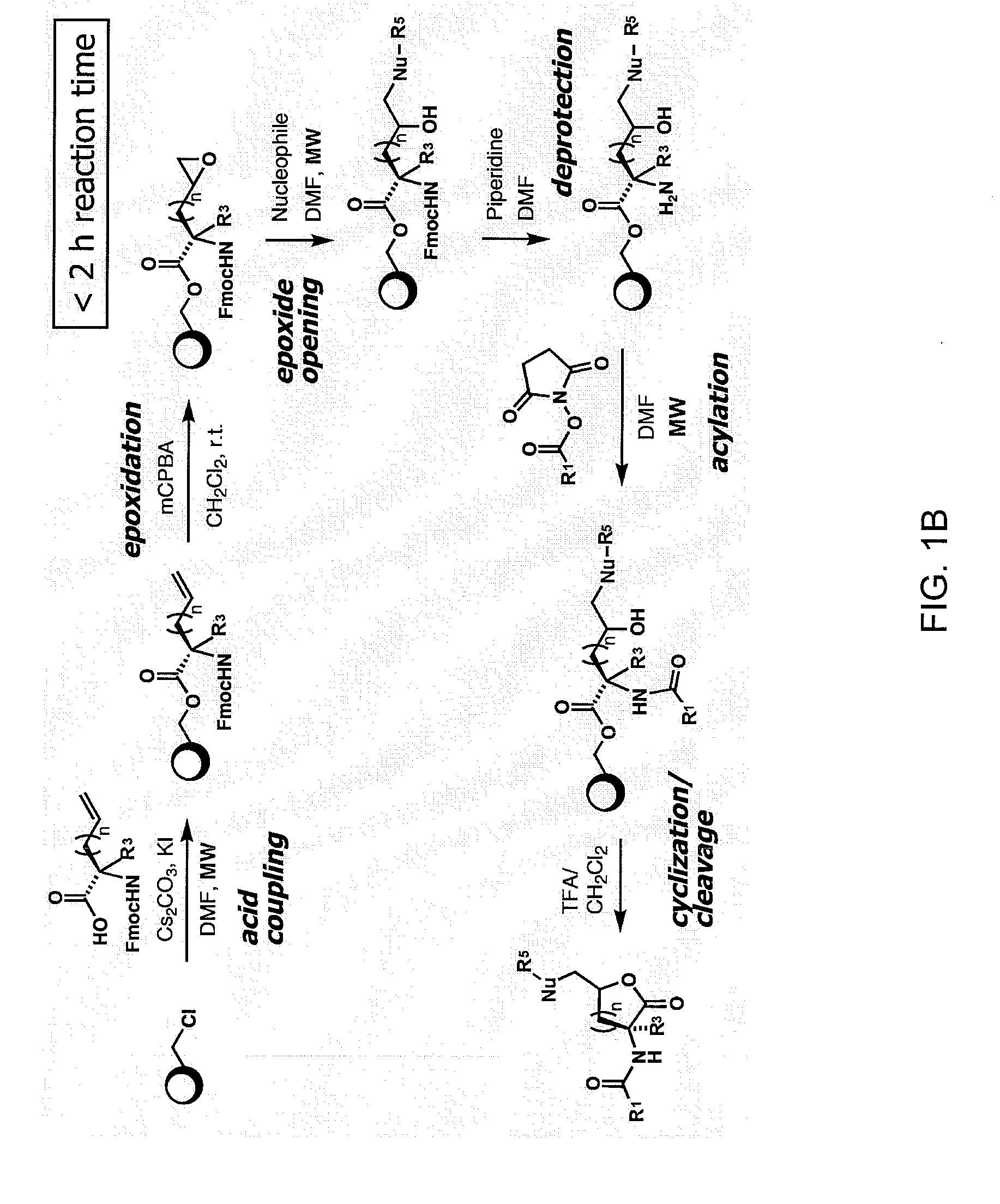 Compounds and methods for modulating communication and virulence in quorum sensing bacteria