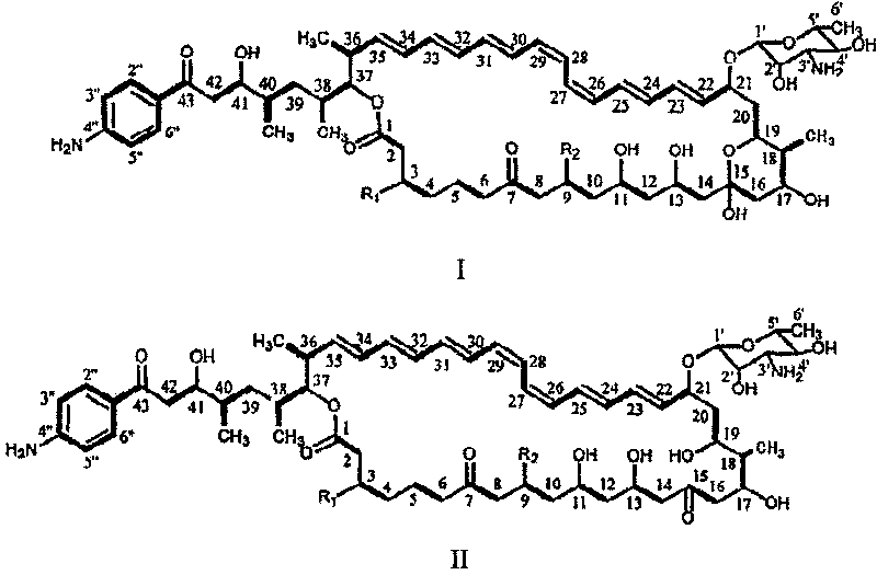 Decarboxylated FR-008 derivative polyketone antibiotic and use thereof