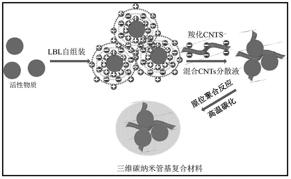 A high-performance three-dimensional carbon nanotube composite negative electrode material and its preparation method and application