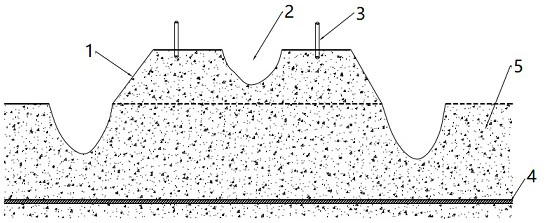 Rapid soil improvement method suitable for Xinjiang sunlight greenhouse